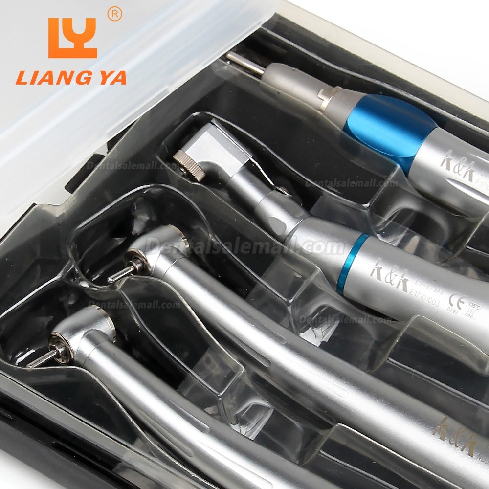 US STOCK! LY-L201 Dental low & high speed handpiece kit