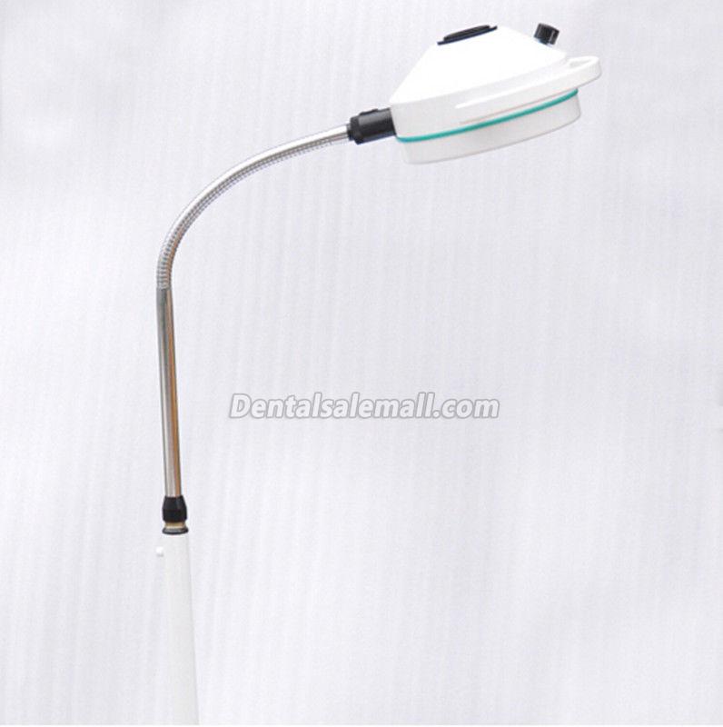 Buy Discount KWS® Mobile LED Stand Dental Light Oral Surgical Lamp  Examination Light KD-2012D-3 from China - Dentalsalemall.com