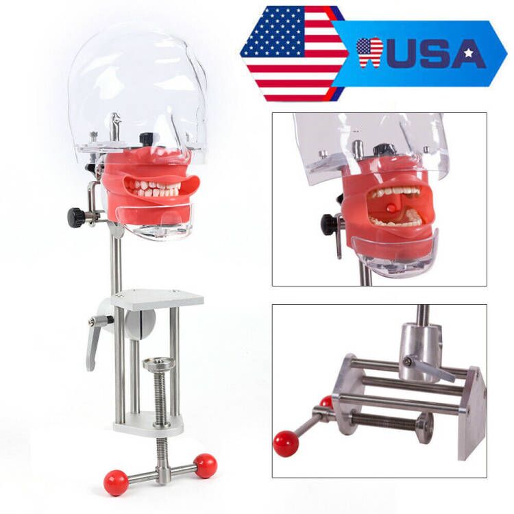 US STOCK!Bench Mount Dental Simulator Manikin Phantom Head Typodont  Compatible Nissin Kilgores