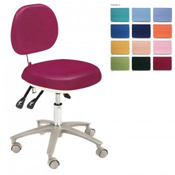 HS-6-R Adjustable Dental Stool with Backrest Dentist Doctor's Assistant Nurse Chair PU Leather