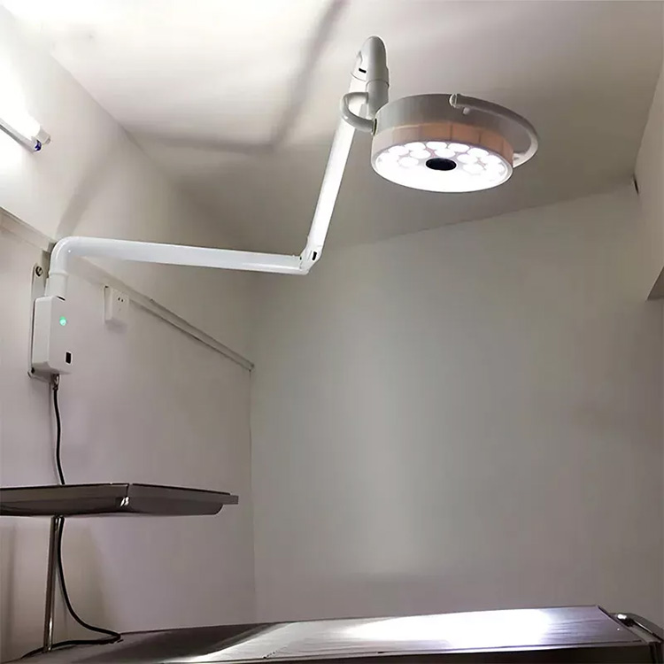 72W Wall-Mounted Dental Surgical Lamp Shadowless Exam Operation Light 24 LEDs